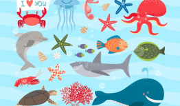 海洋漫画图,漫画图中的海洋生物大揭秘